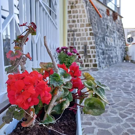 Appartement Casa Gimaga